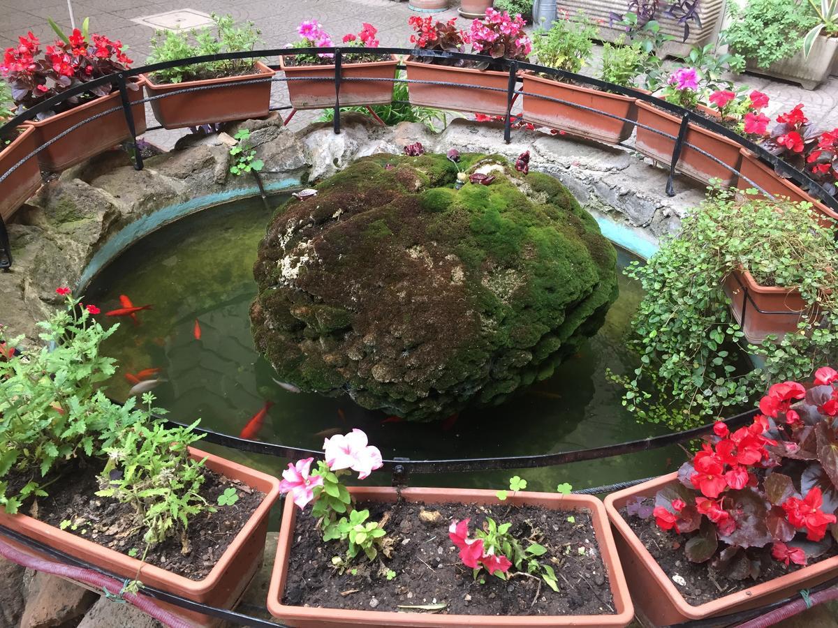 Blue Whale Bed & Breakfast Roma Ngoại thất bức ảnh